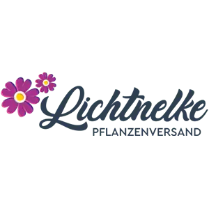 Lichtnelke Logo